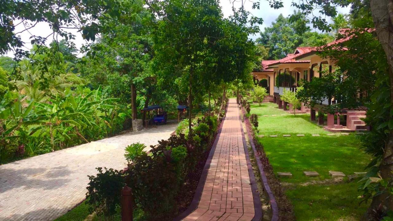 Hill Garden Hotel Chaungtha Εξωτερικό φωτογραφία